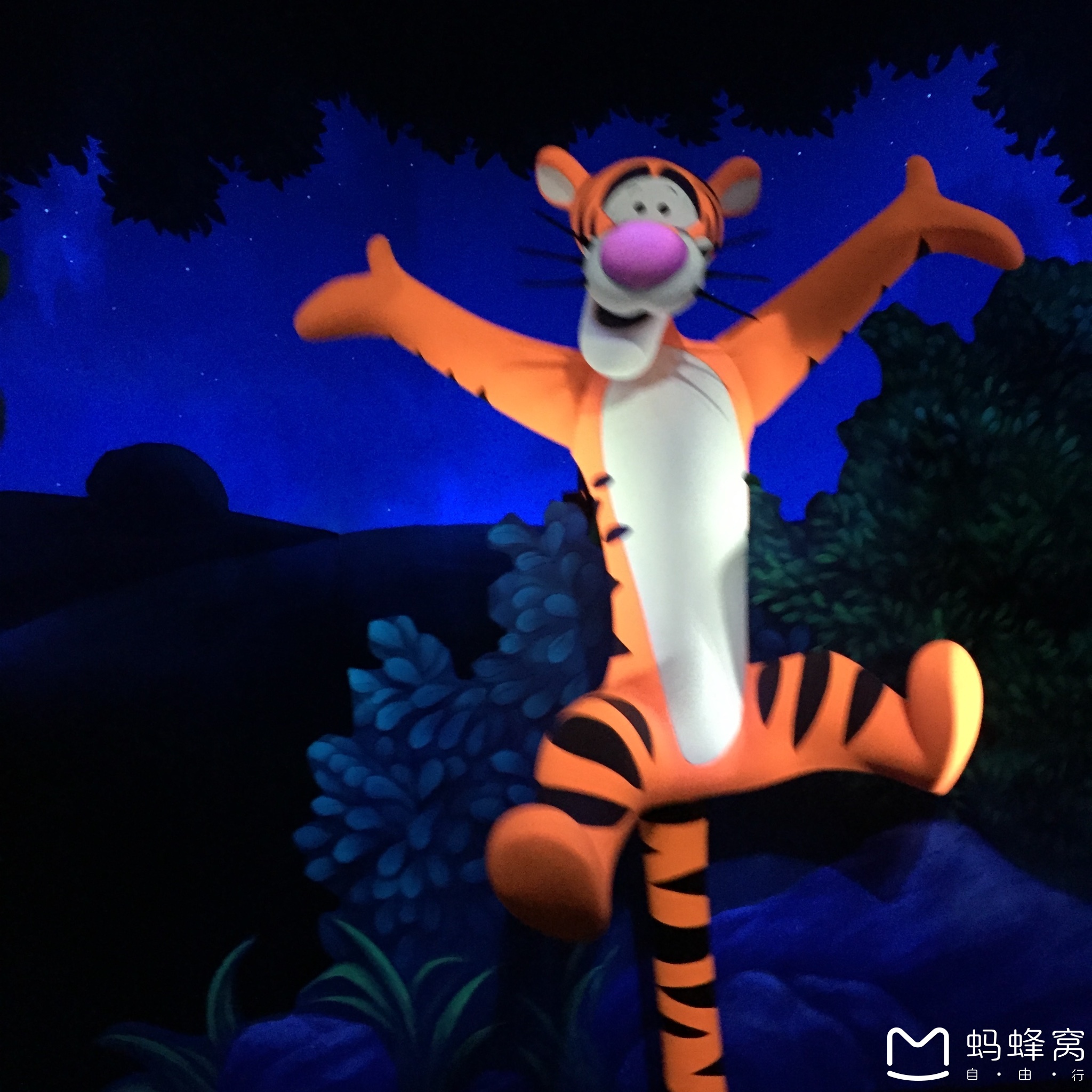 wKgBs1dexEKABrxHAA0bbxngpn464.jpeg?imageView2%2F2%2Fw%2F600%2Fh%2F600%2Fq%2F90