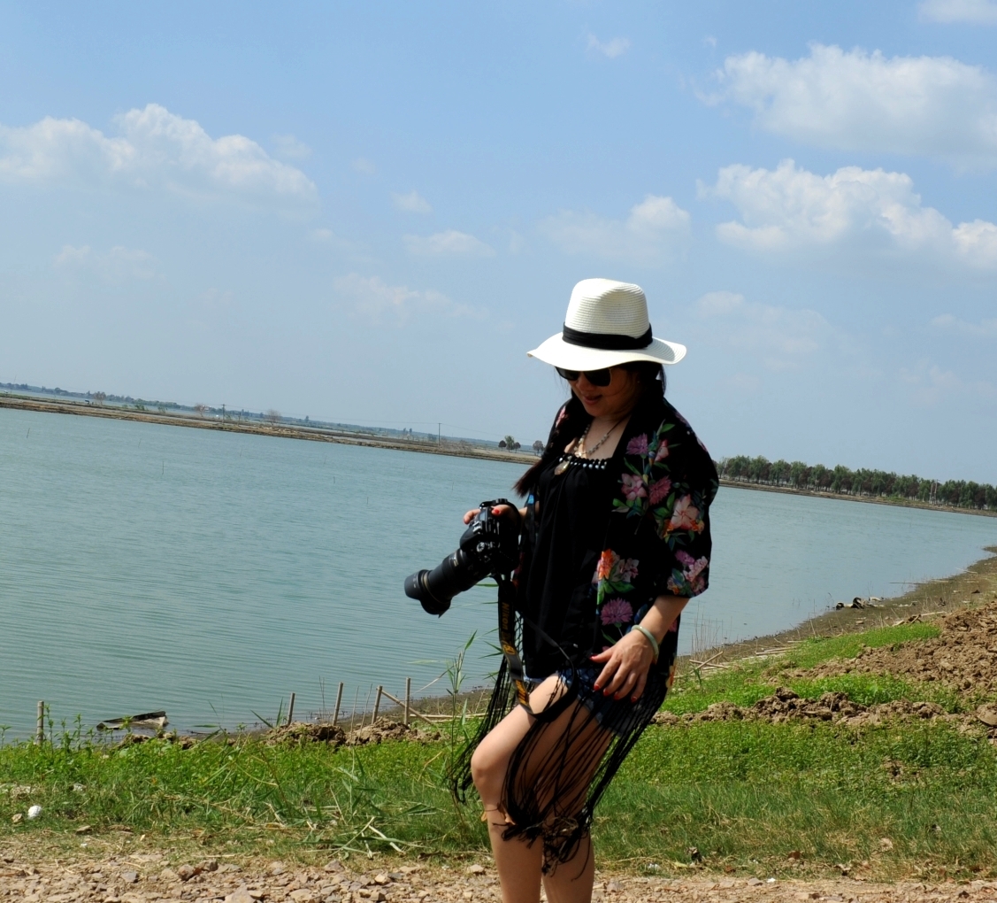 蔡甸沉湖湿地观鸟,湖北自助游攻略 - 马蜂窝