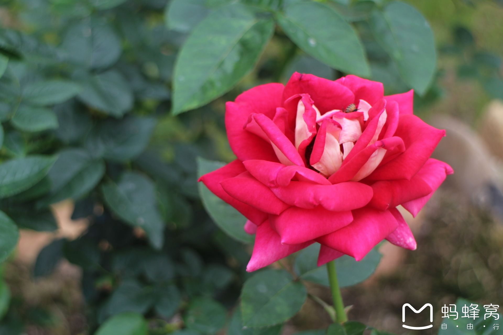 wKgBs1dx9IeAcHRiAAuC6vi95vo06.jpeg?imageView2%2F2%2Fw%2F600%2Fh%2F600%2Fq%2F90