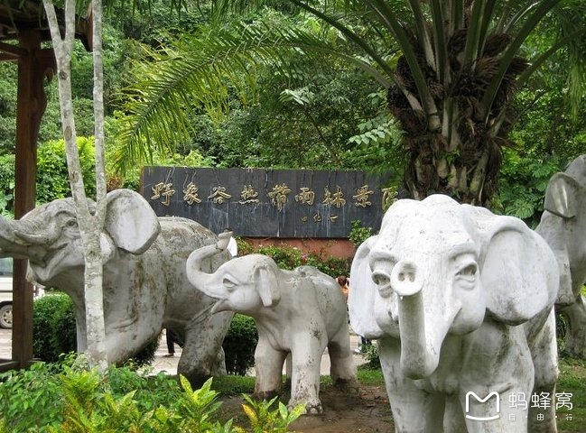 wKgBs1gPXPuAcvZ8AAG0rhv6Fg487.jpeg?imageView2%2F2%2Fw%2F600%2Fh%2F600%2Fq%2F90