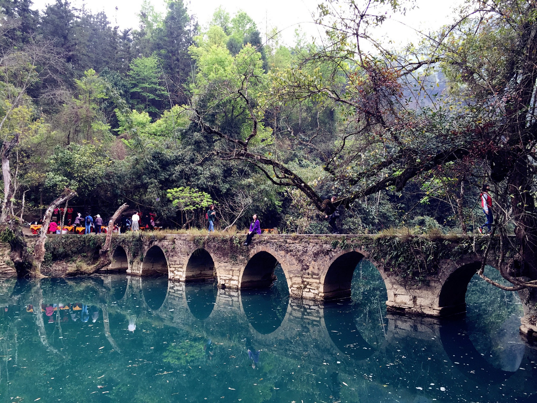 兴义都匀凯里gdp_都匀毛尖图片