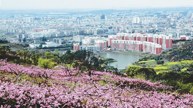2018龙泉驿旅游攻略,龙泉驿自由行攻略,马蜂窝龙泉驿