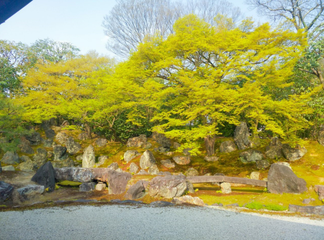 京都自助遊攻略