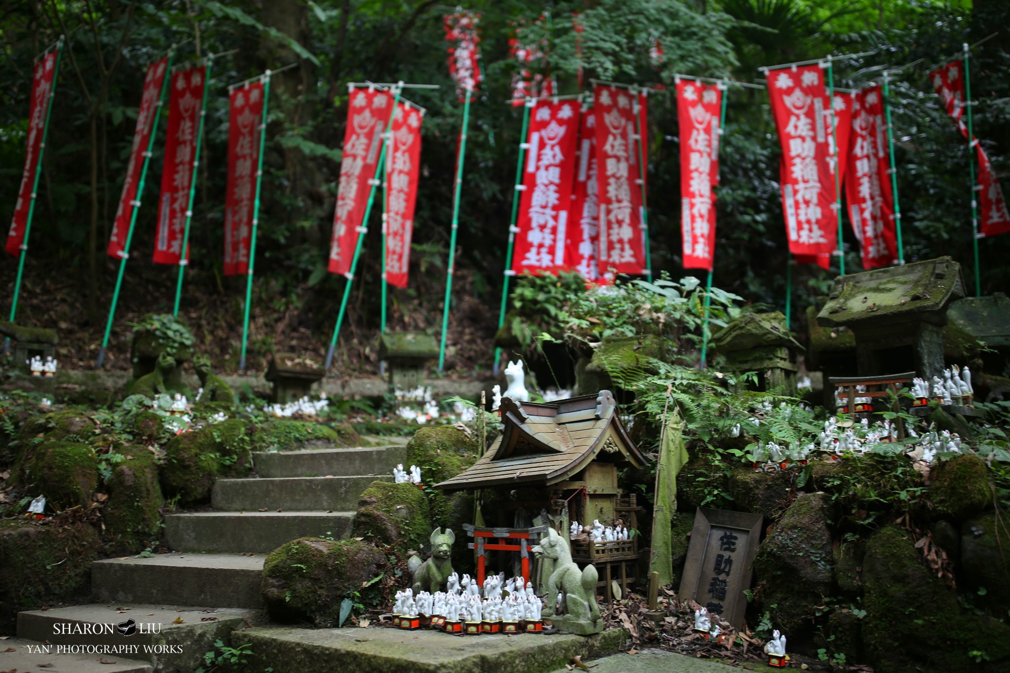 東京自助遊攻略