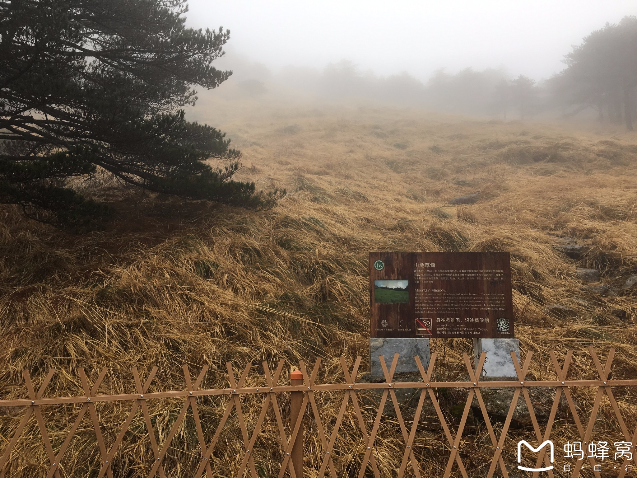 黃山自助遊攻略