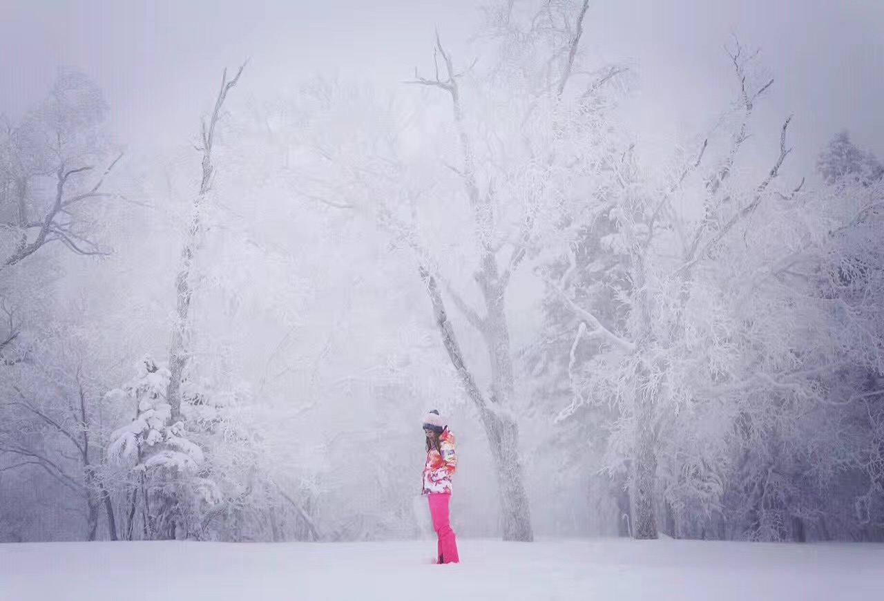 雪鄉自助遊攻略