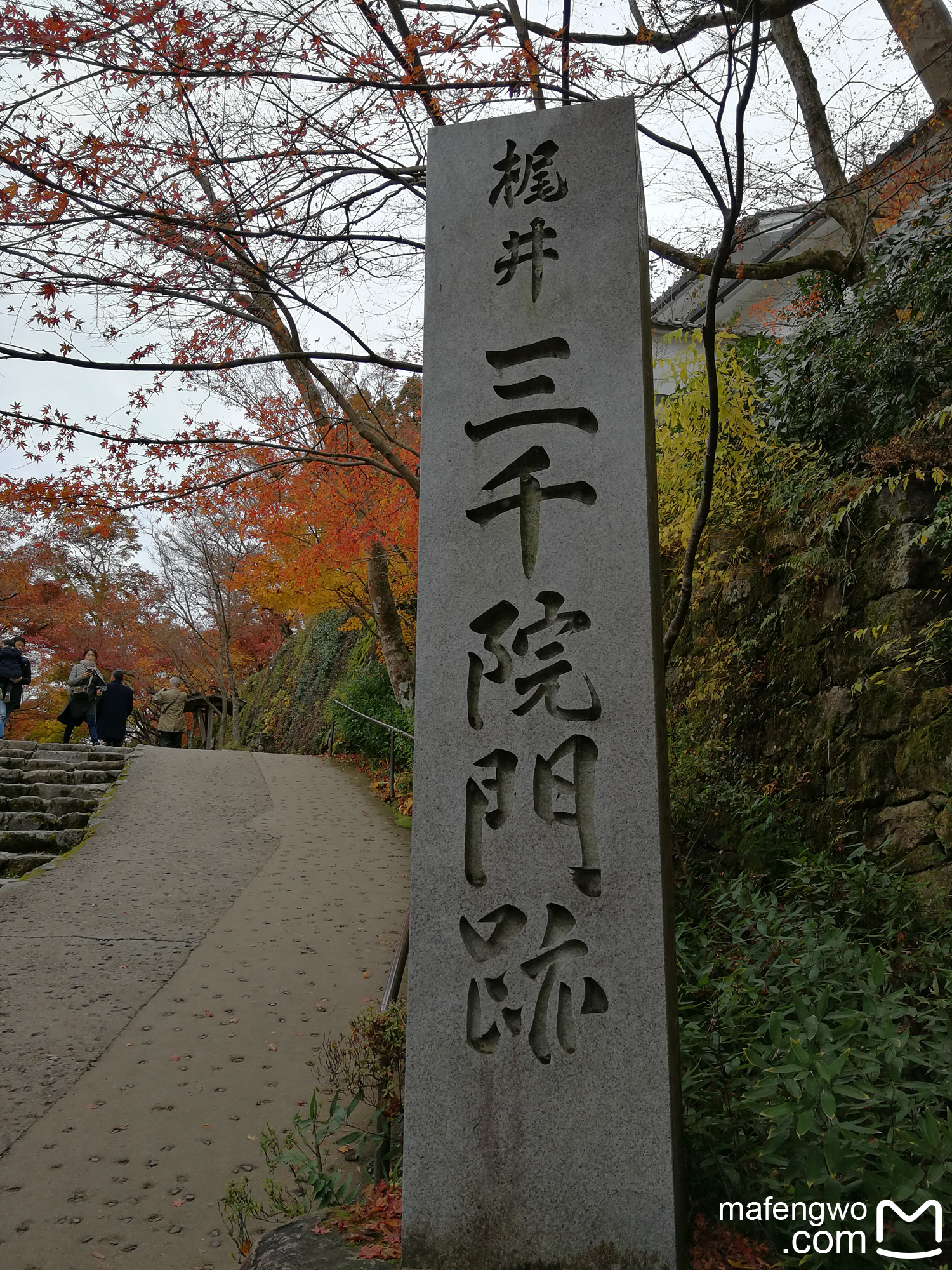 京都自助遊攻略