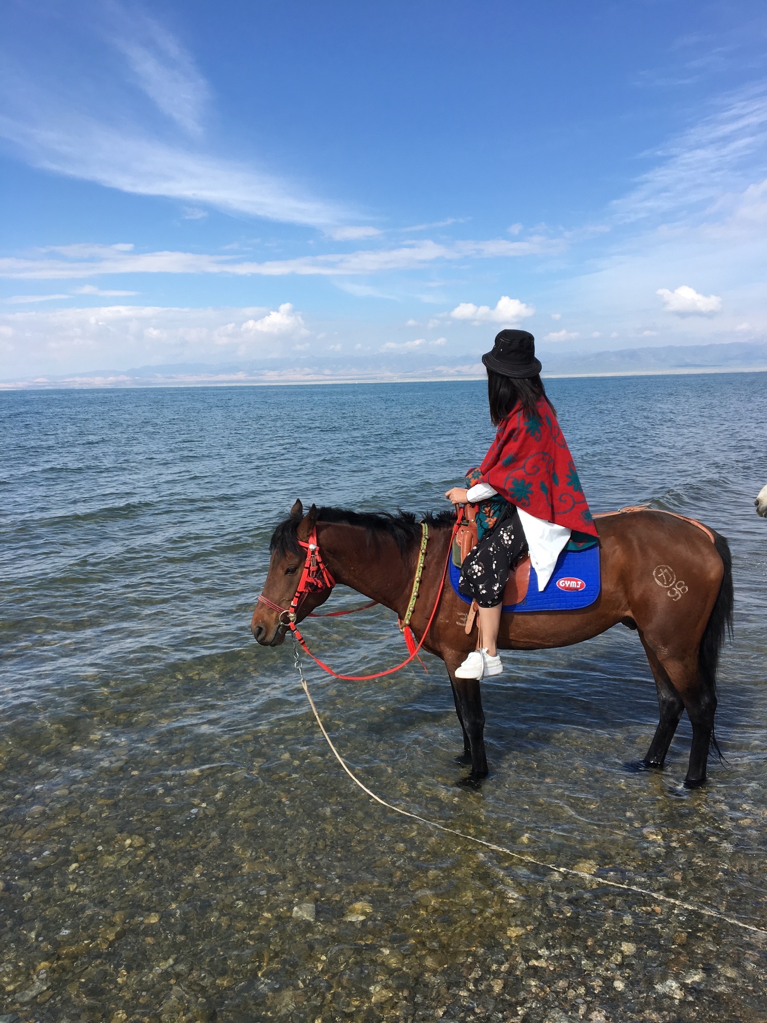 青海湖自助遊攻略