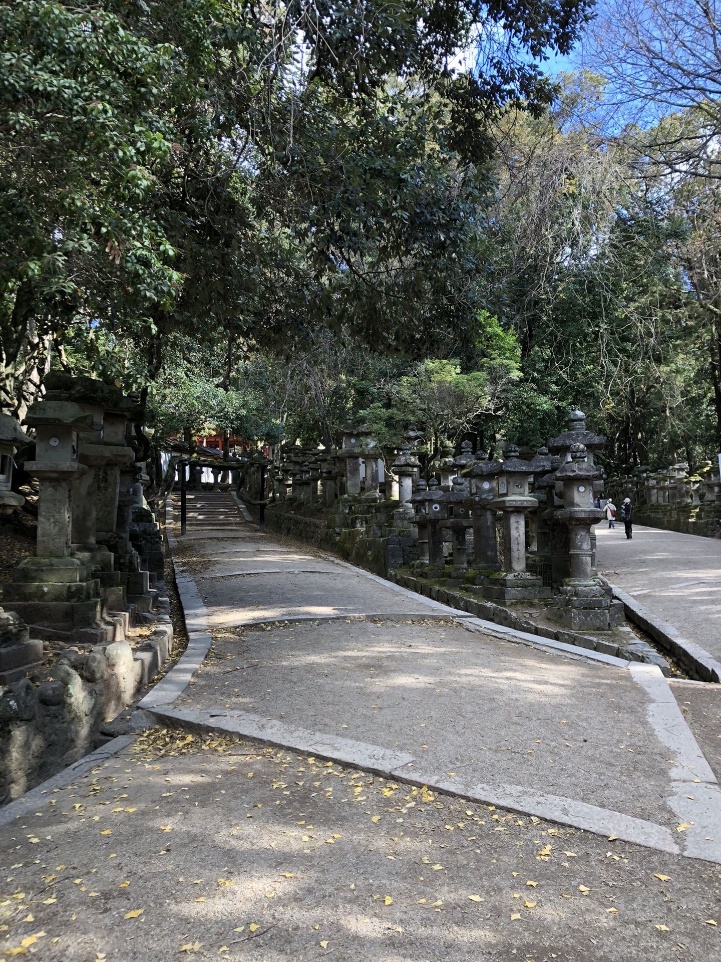 京都自助遊攻略