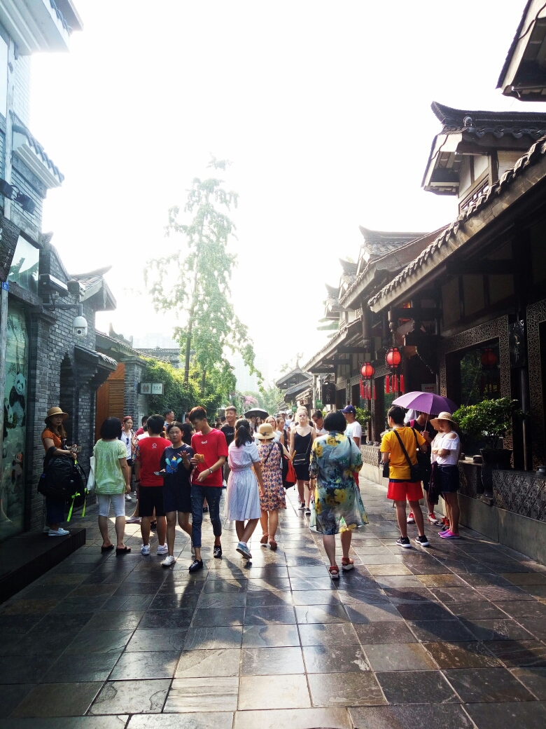 成都旅游人均_成都旅游图片
