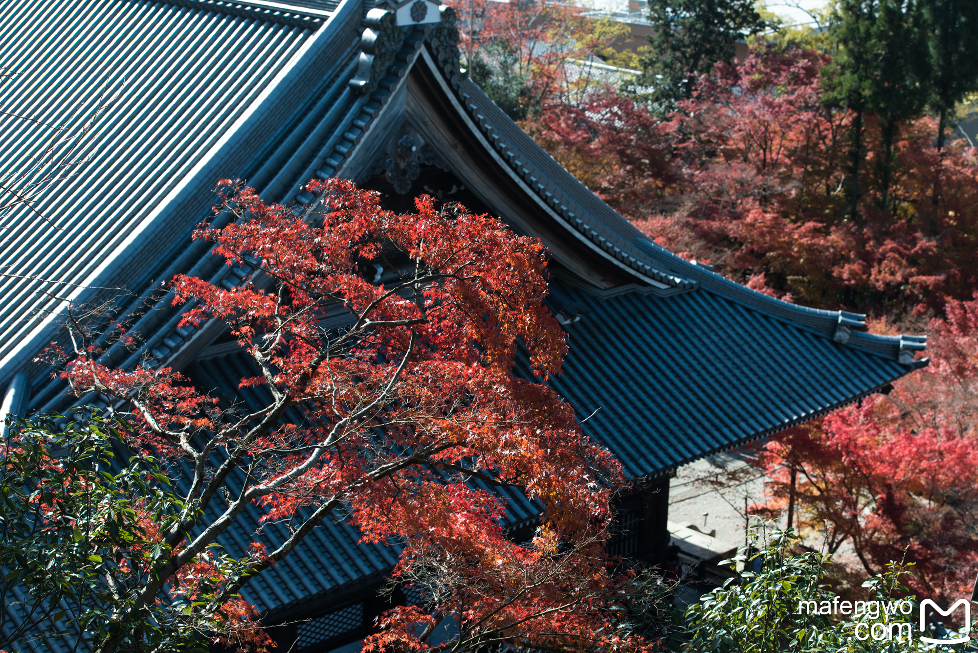 京都自助遊攻略