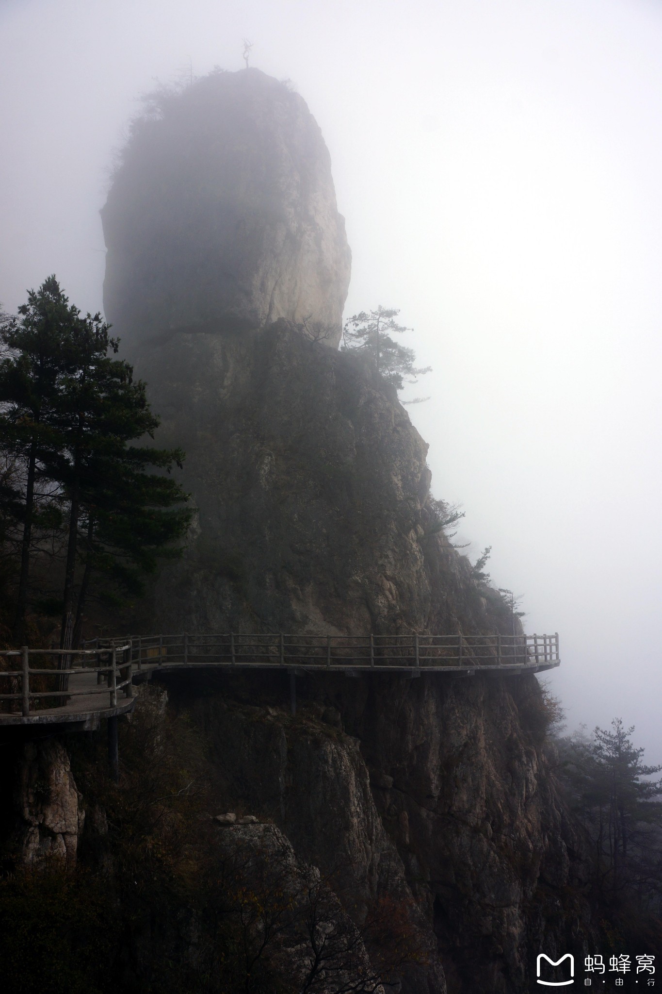 欒川自助遊攻略