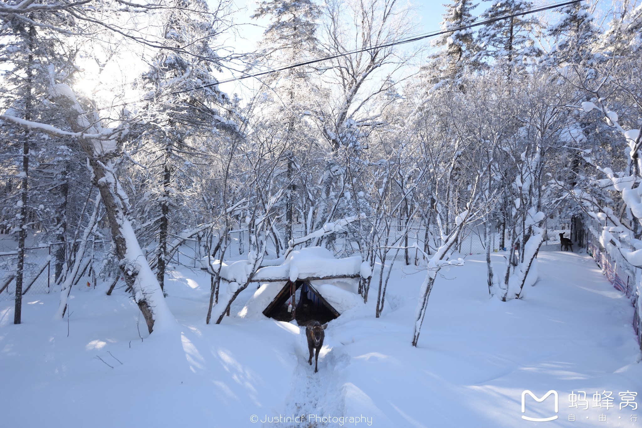 雪鄉自助遊攻略