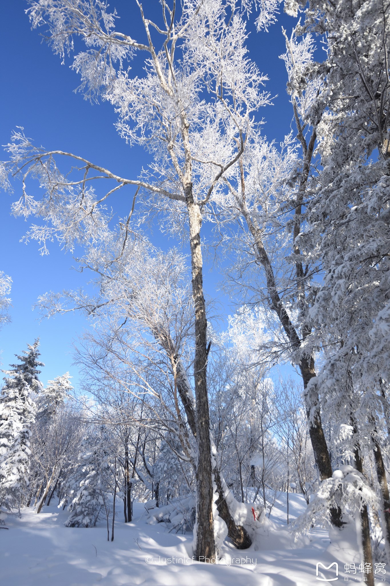 雪鄉自助遊攻略