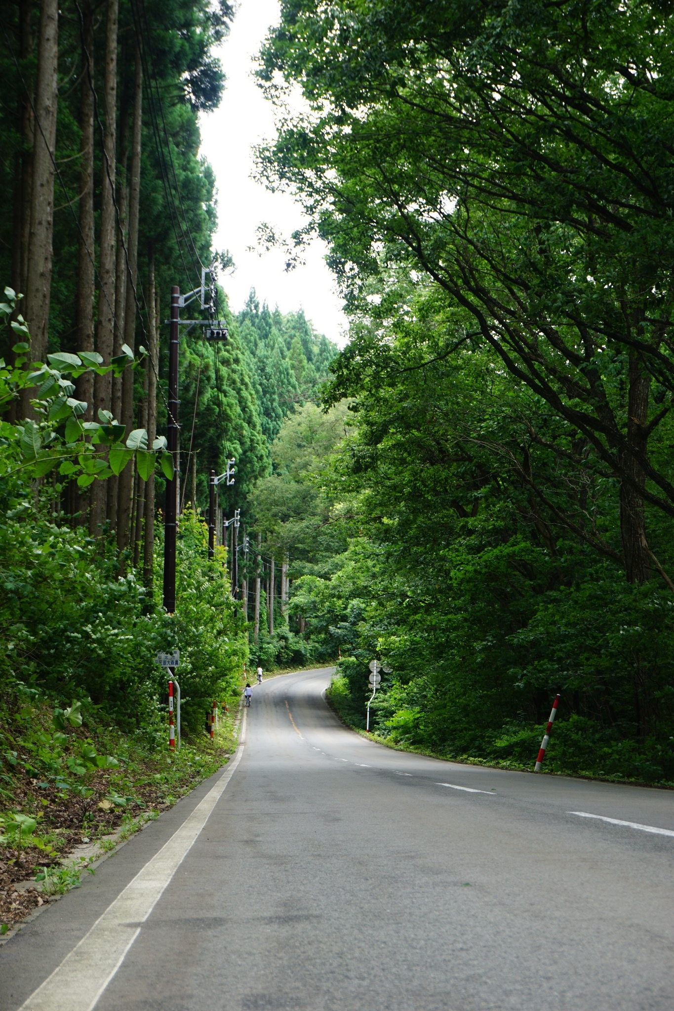 北海道自助遊攻略