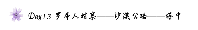 Day13罗布人村寨——沙漠公路——塔中 Day13罗布人村寨——沙漠公路——塔中