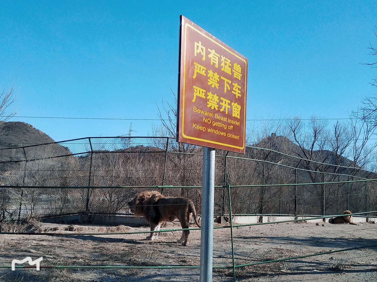 冯家旧宅闭柴关，一路寒山万木中是什么生肖是啥动物，详细解释说明落实