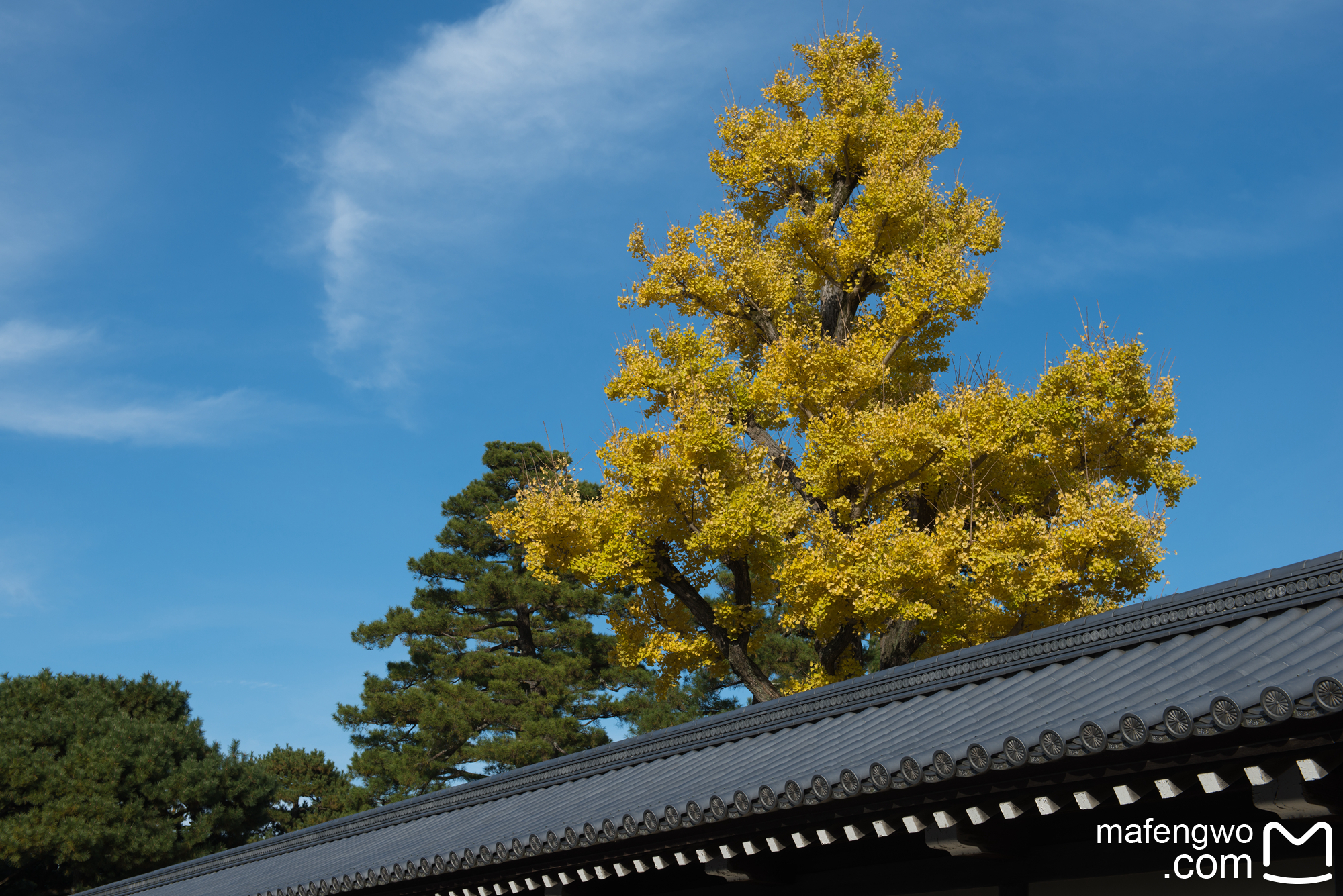 京都自助遊攻略