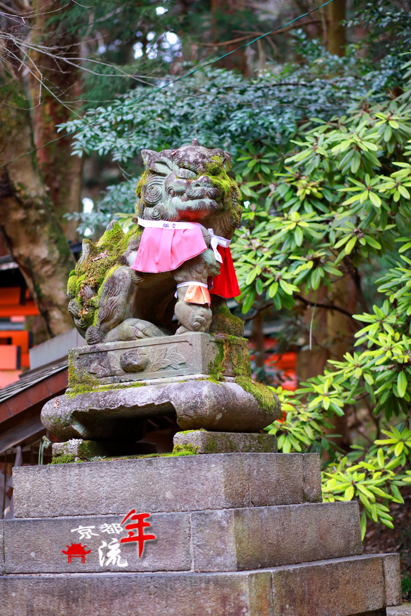 京都自助遊攻略