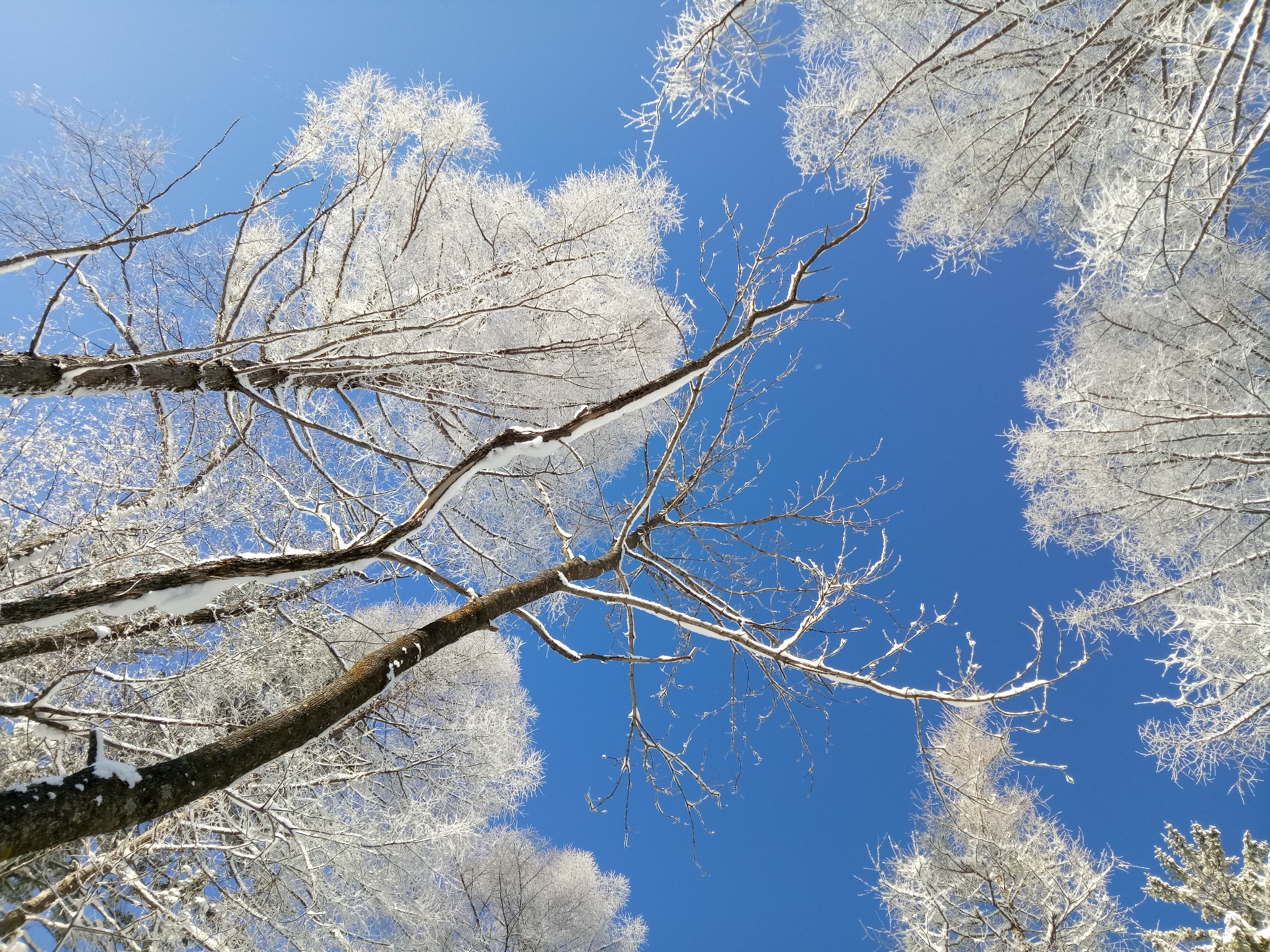 雪鄉自助遊攻略