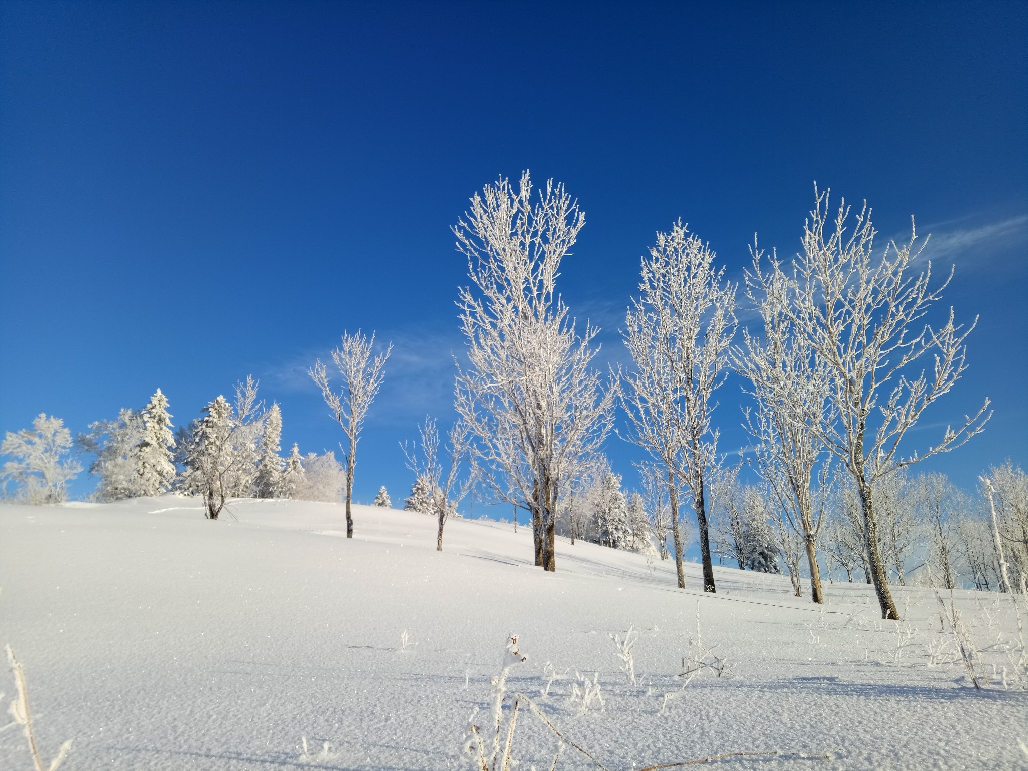 雪鄉自助遊攻略