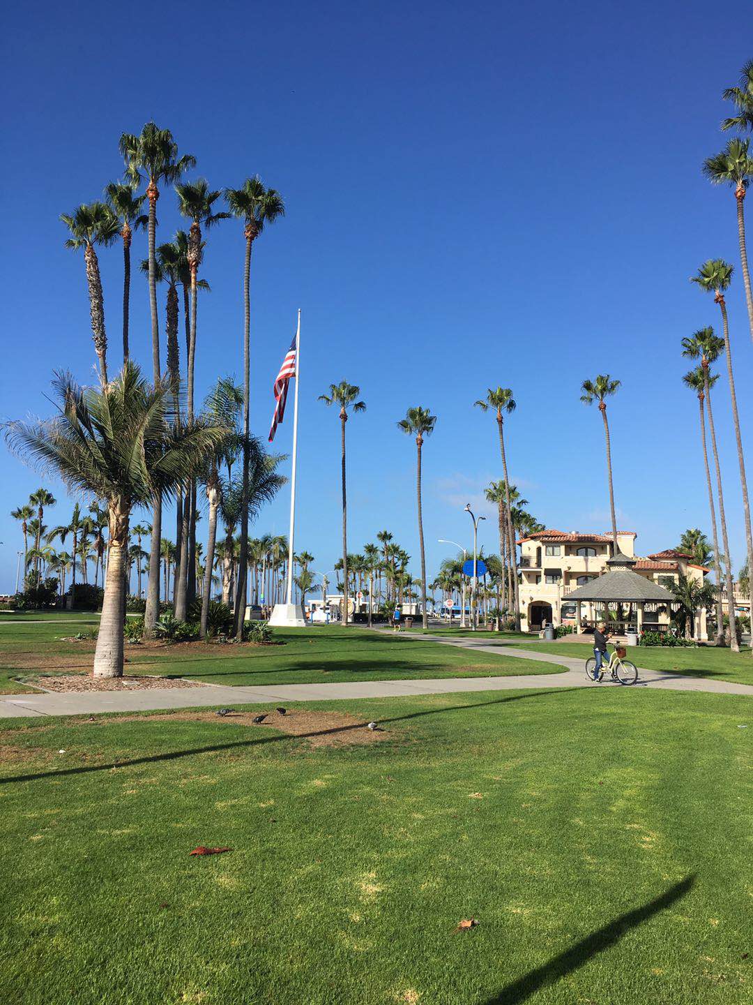 十月末 属于加州的阳光图片114,洛杉矶旅游景点,风景名胜 - 马蜂窝