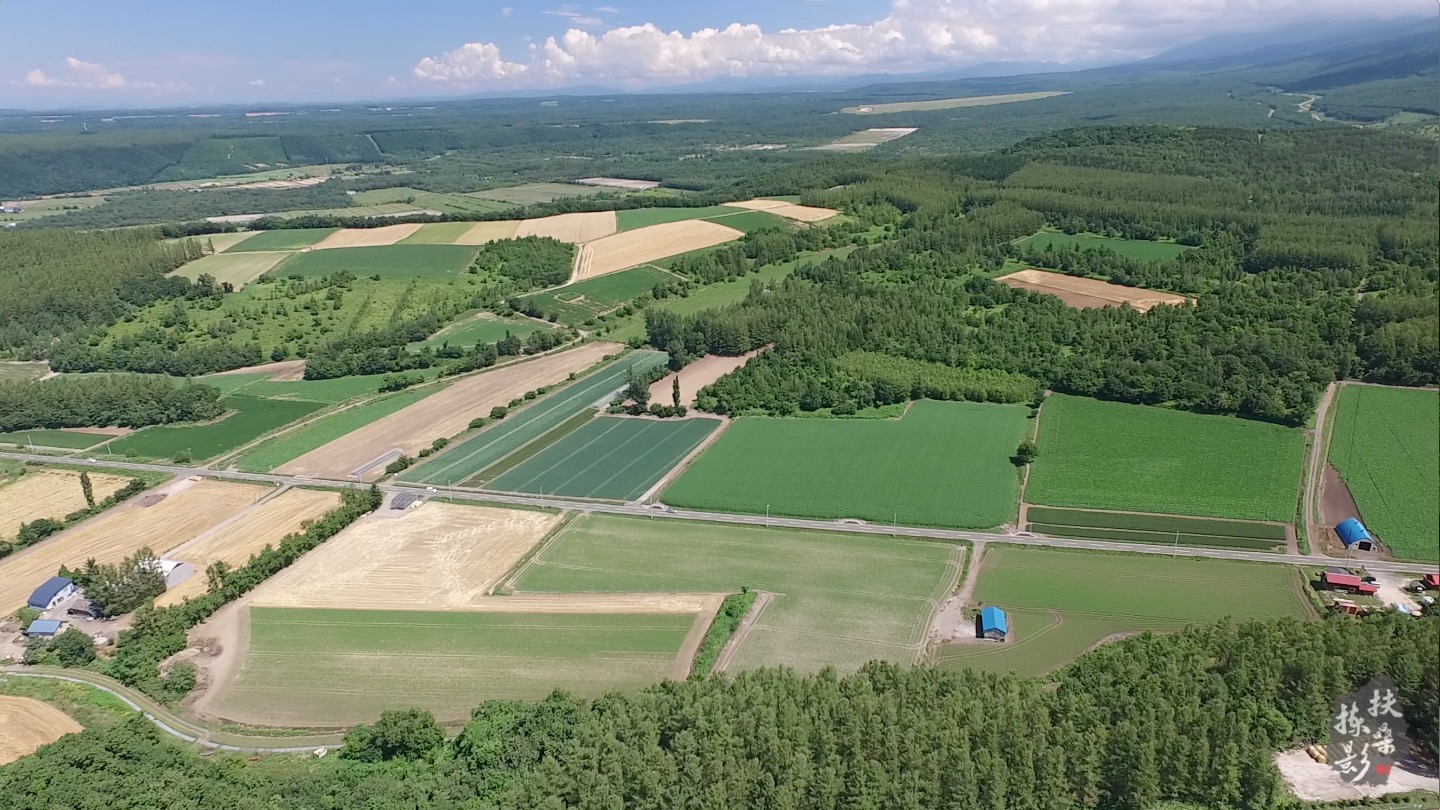 北海道自助遊攻略