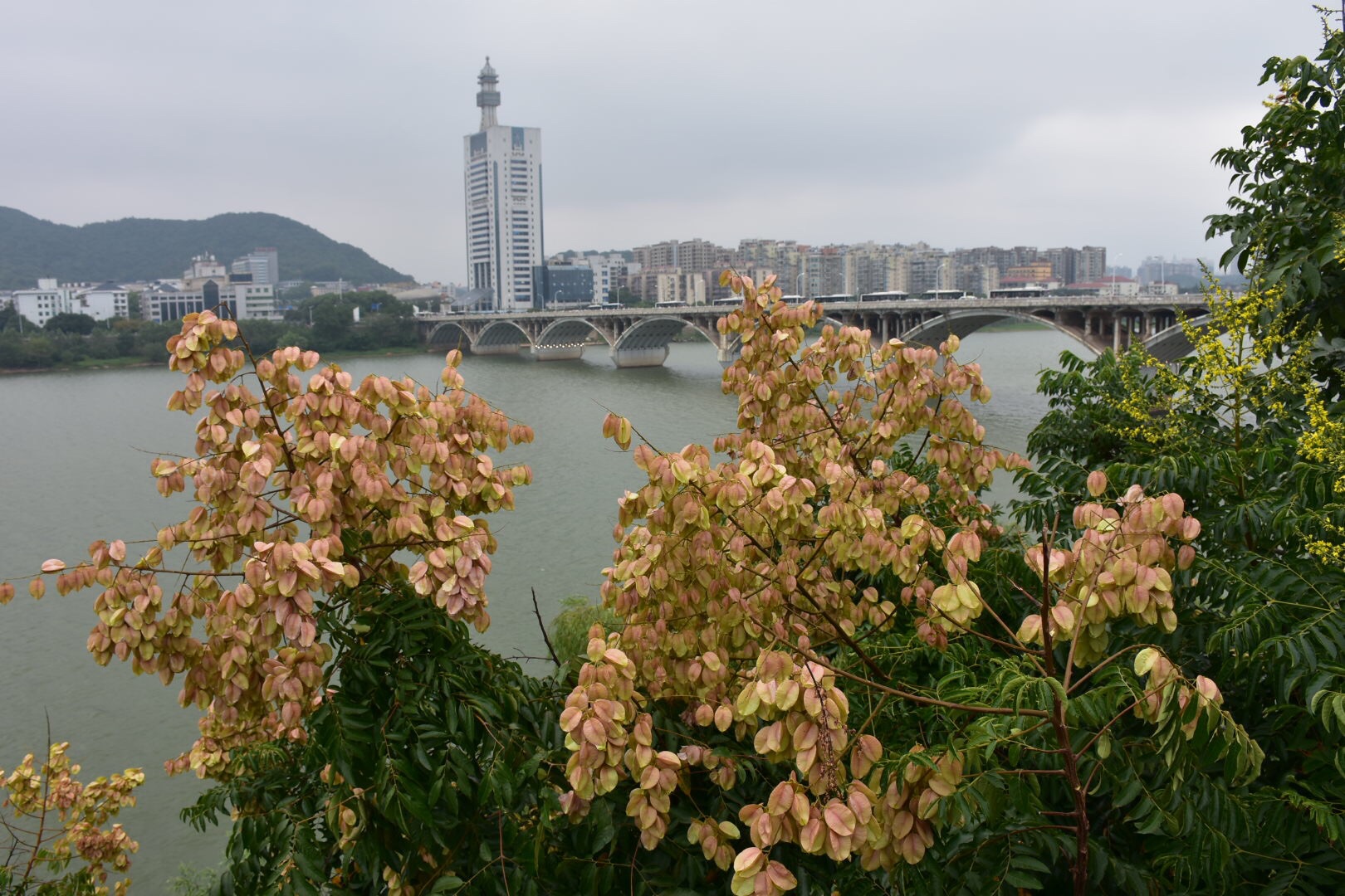 湖南自助遊攻略