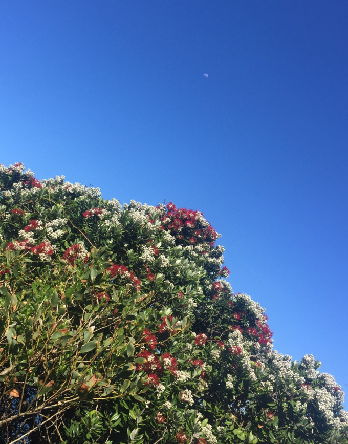 走过南半球的夏天,结束亦是开始.