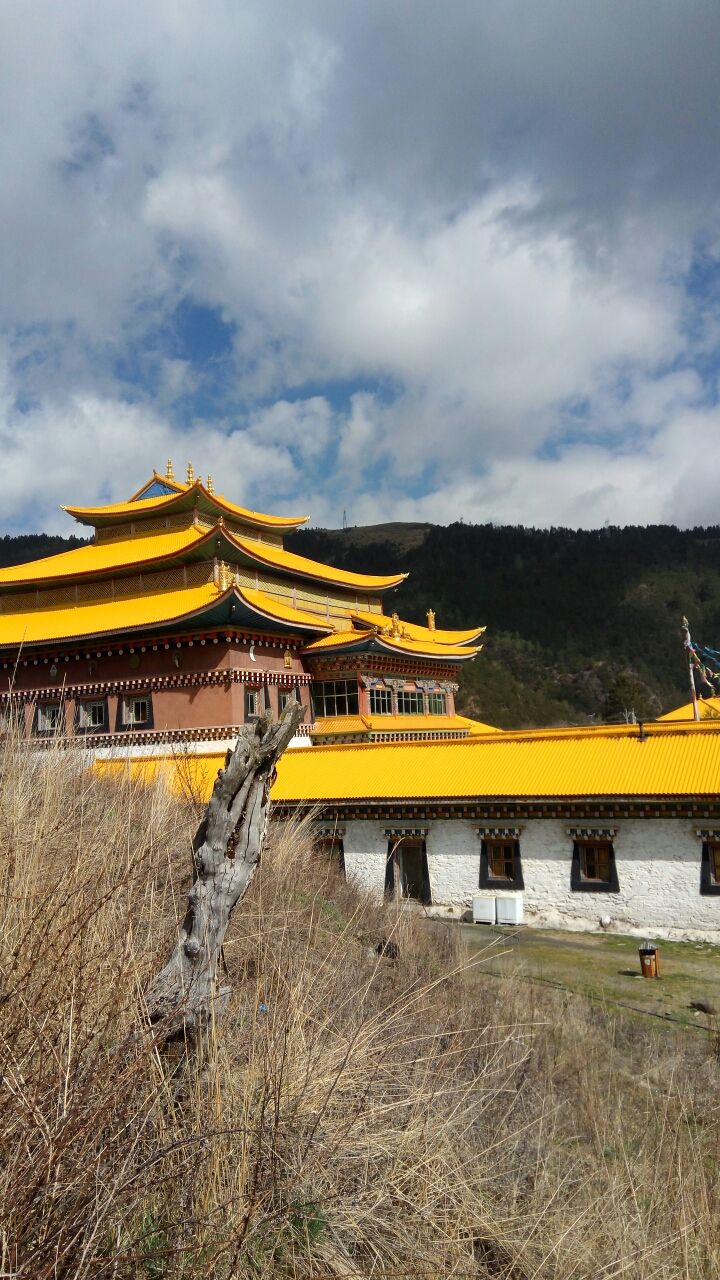 回复游记:木里映像3--康坞大寺