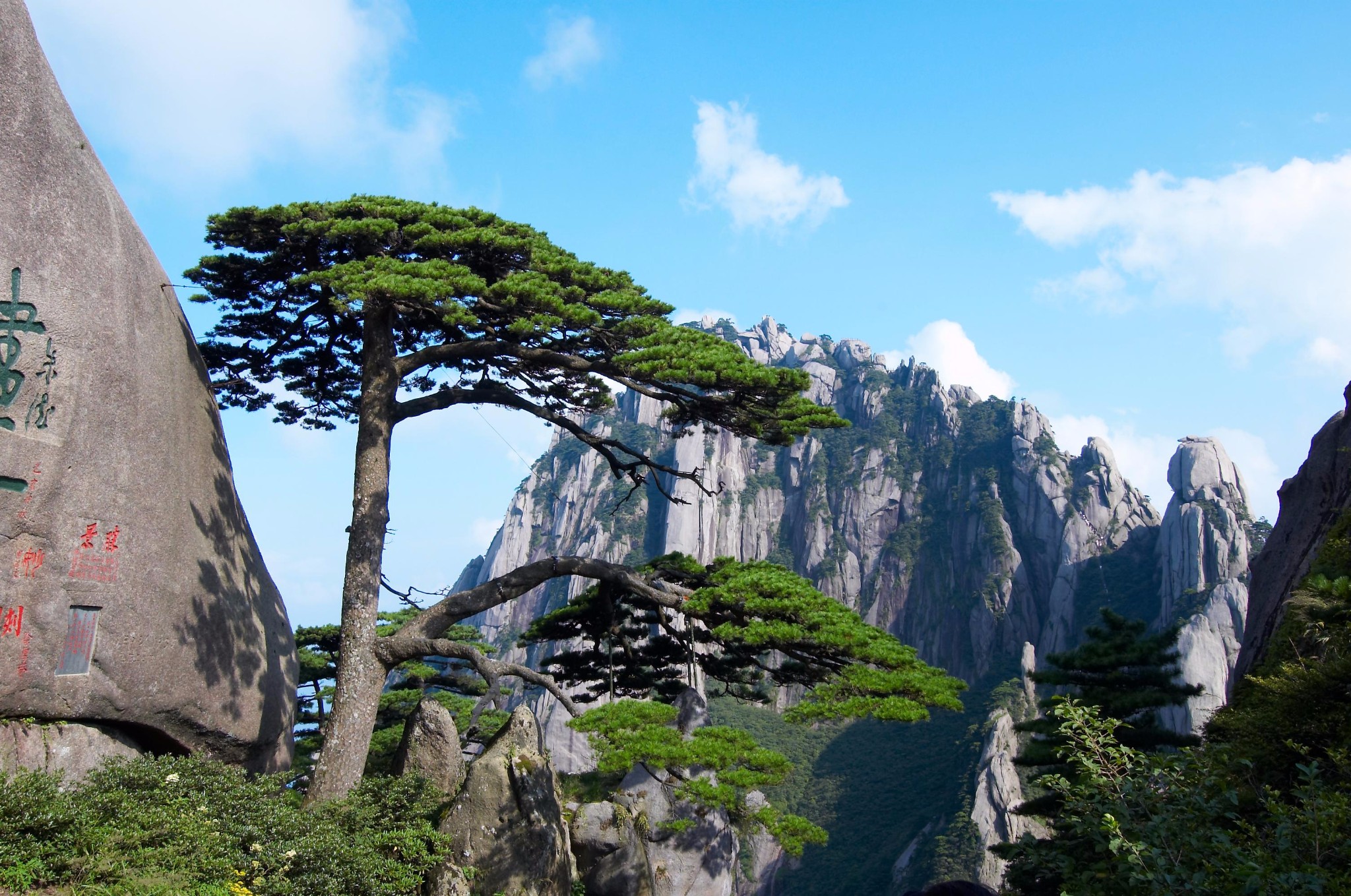 名山gdp_最新排名出炉 江西11个市哪个市最富哪个市最穷 第一名竟然是(2)