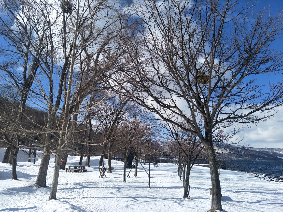 札幌自助遊攻略