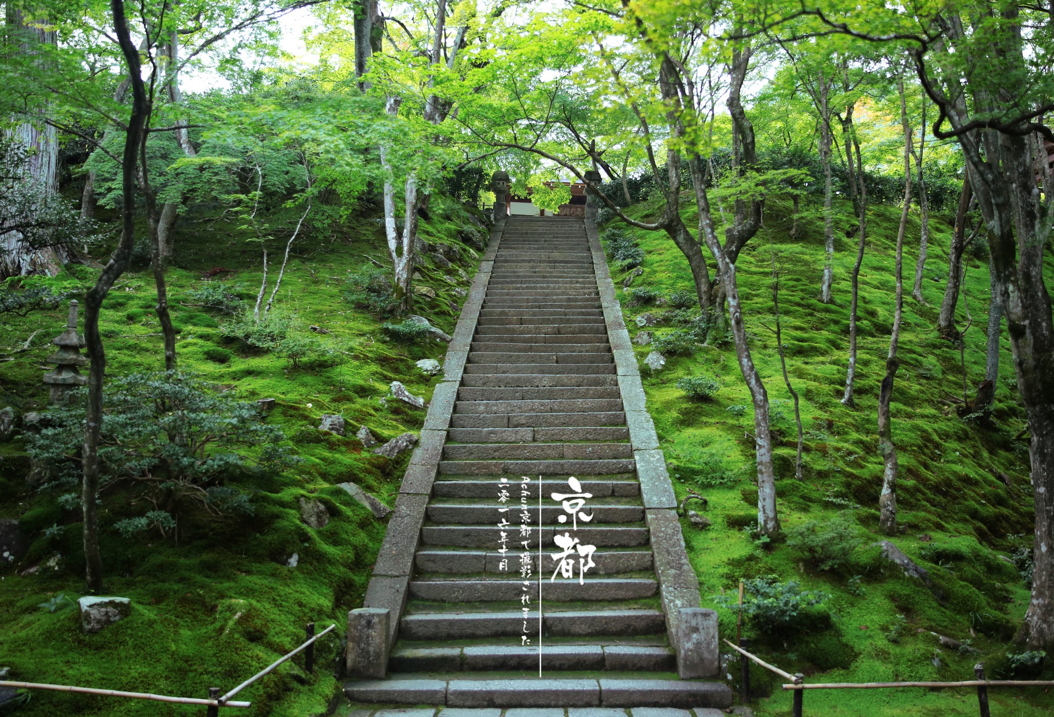 京都自助遊攻略