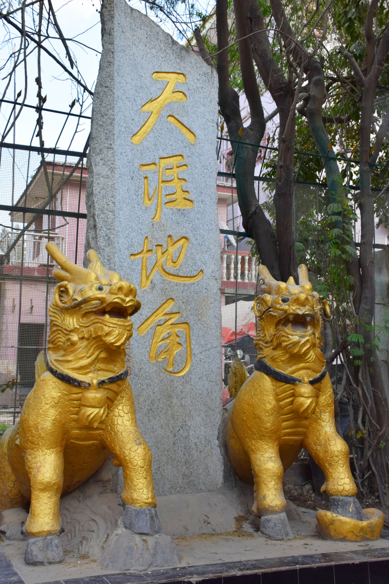 雲南自助遊攻略