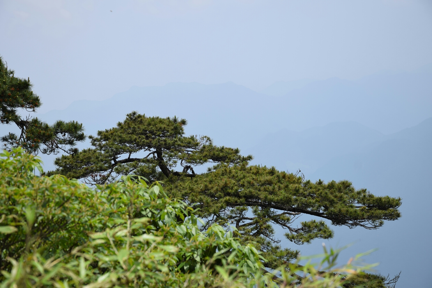 三清山自助遊攻略