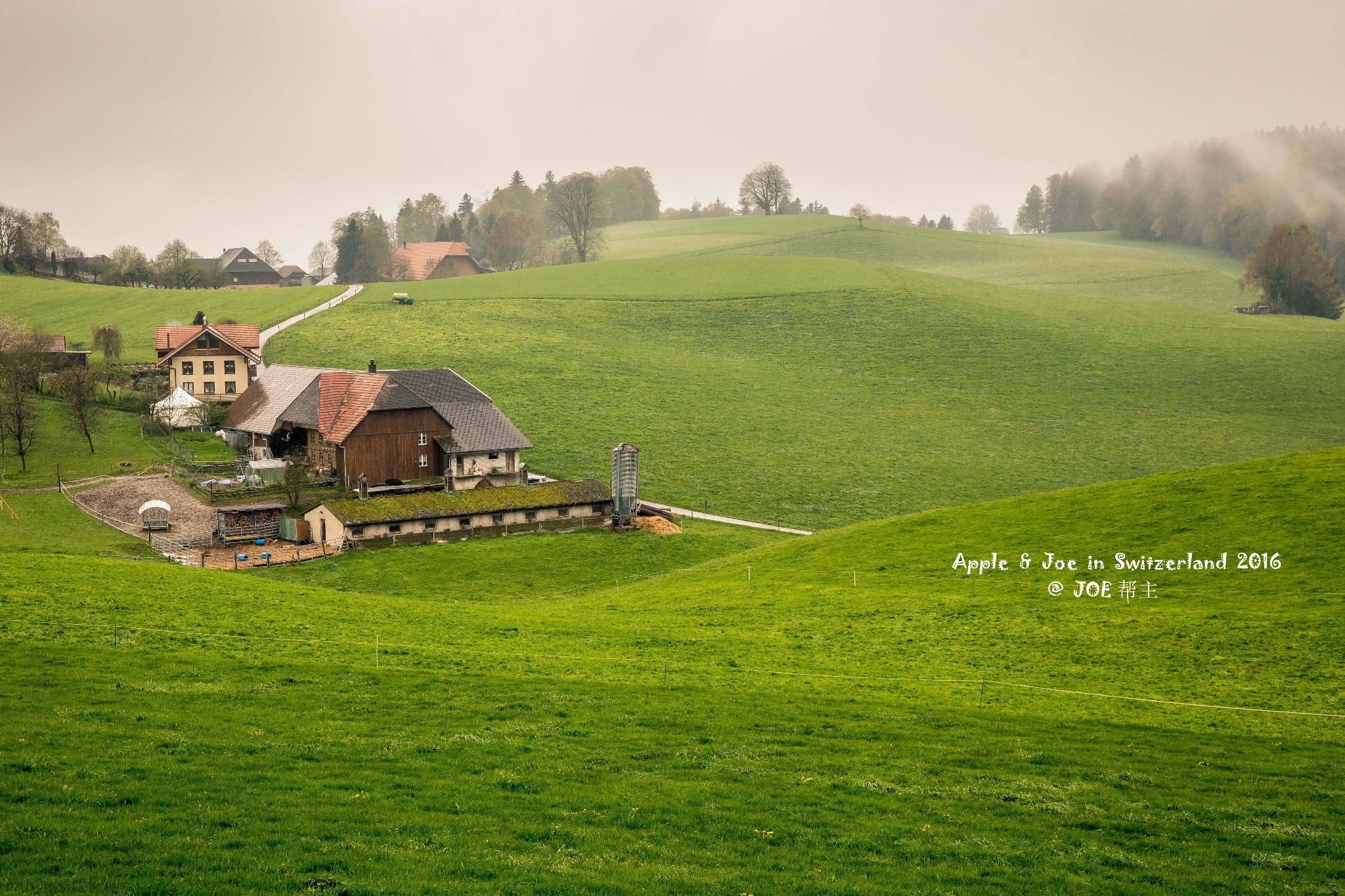 【蜂首|宝藏】花间雪,湖畔春,晴潋雨蒙入梦深(瑞士9日自驾游)