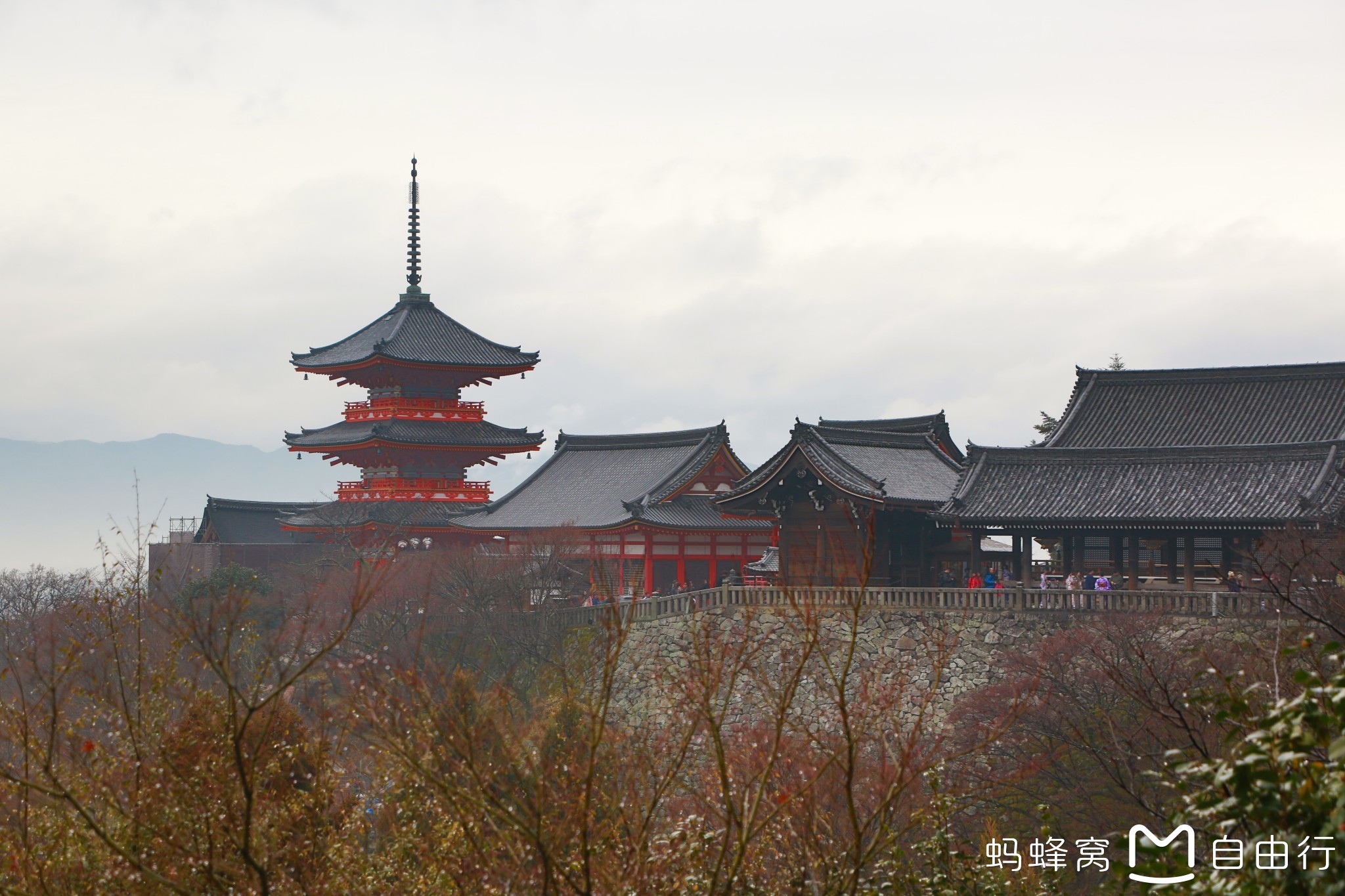 东京有多少人口2017_东京食尸鬼