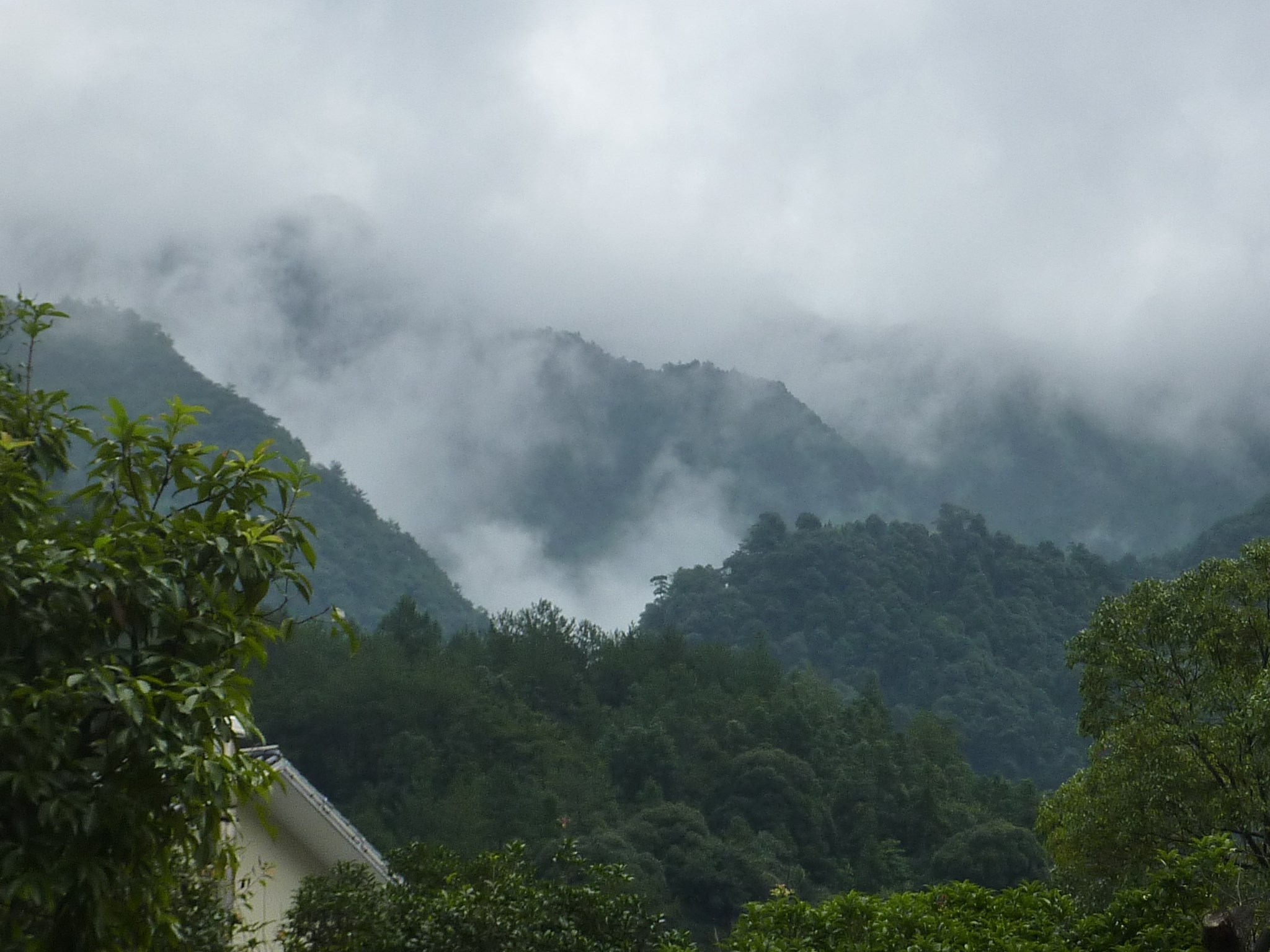 三清山自助遊攻略