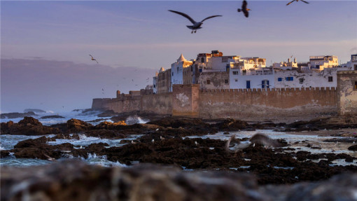 +梅祖卡沙漠12日11晚游(北非皇城+权利游戏拍