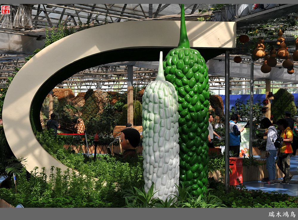 【原创摄影】第五届北京农业嘉年华展示都市现代农业的魅力