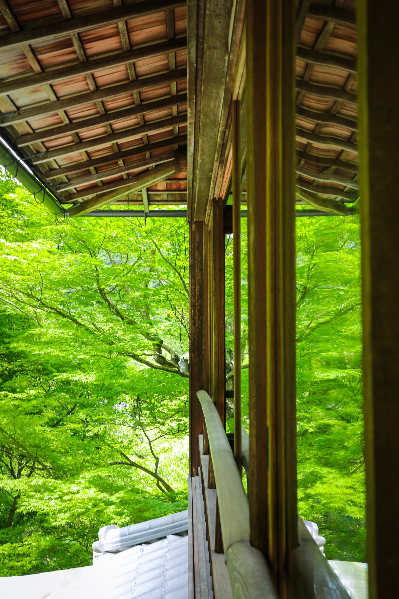 夏の風物詩|關西的八個夏日風情