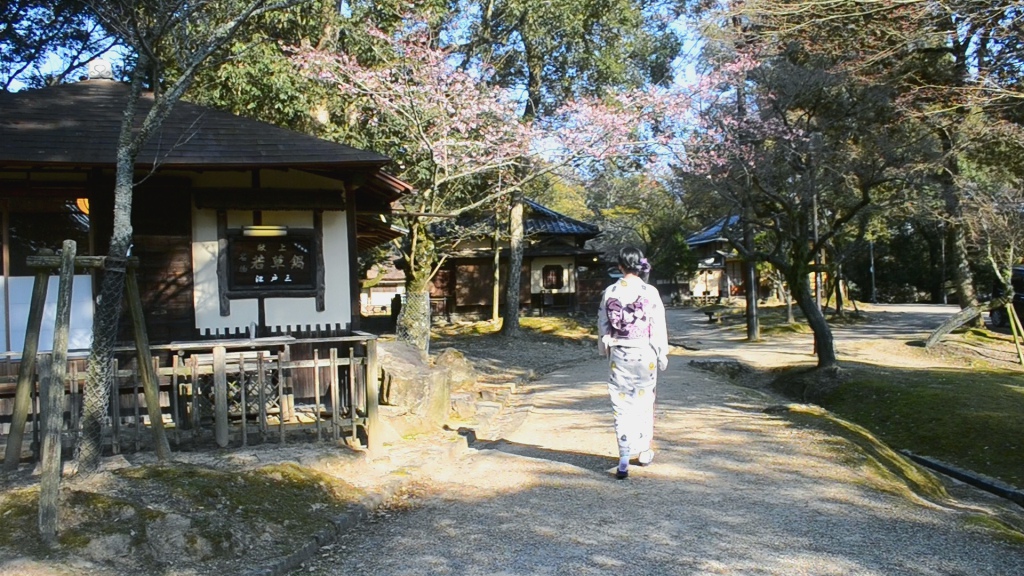 京都自助遊攻略