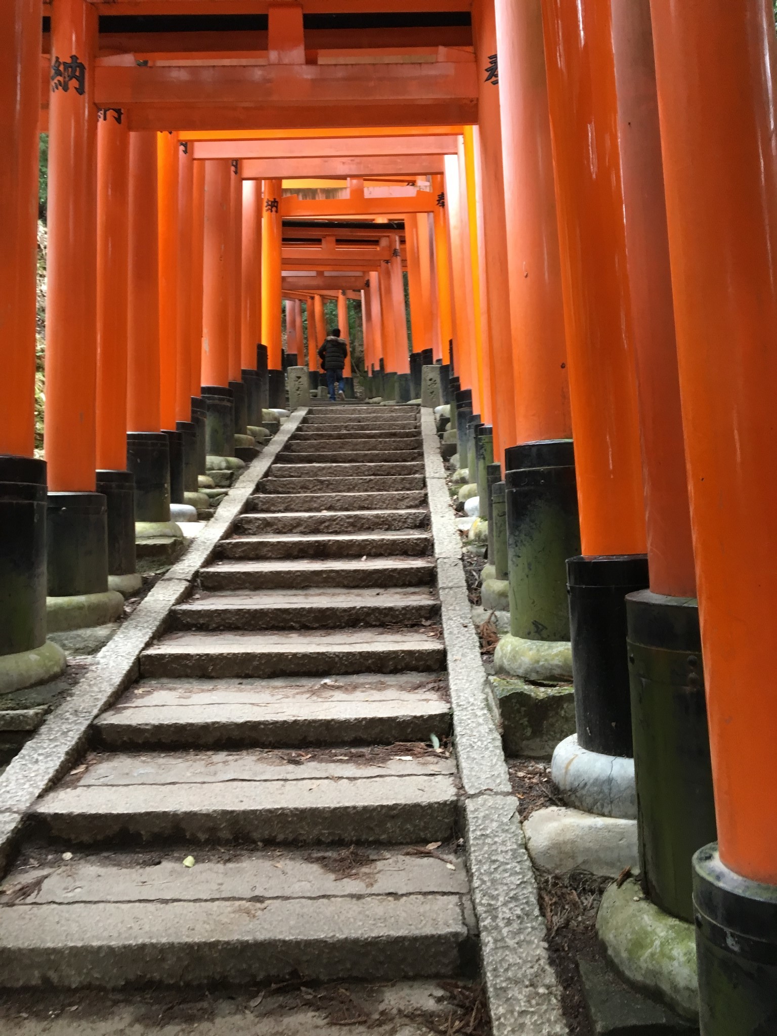 京都自助遊攻略