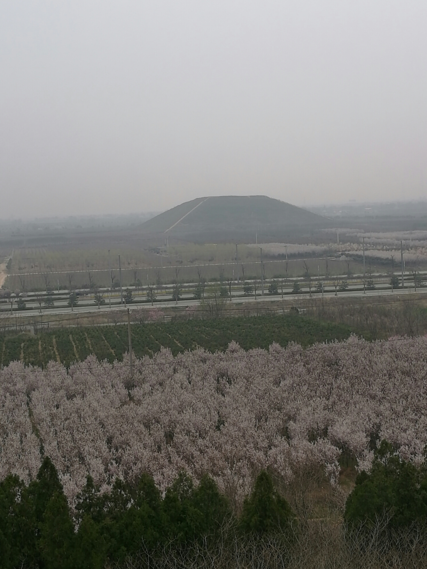 杜陵人口_杜陵生态遗址公园(2)