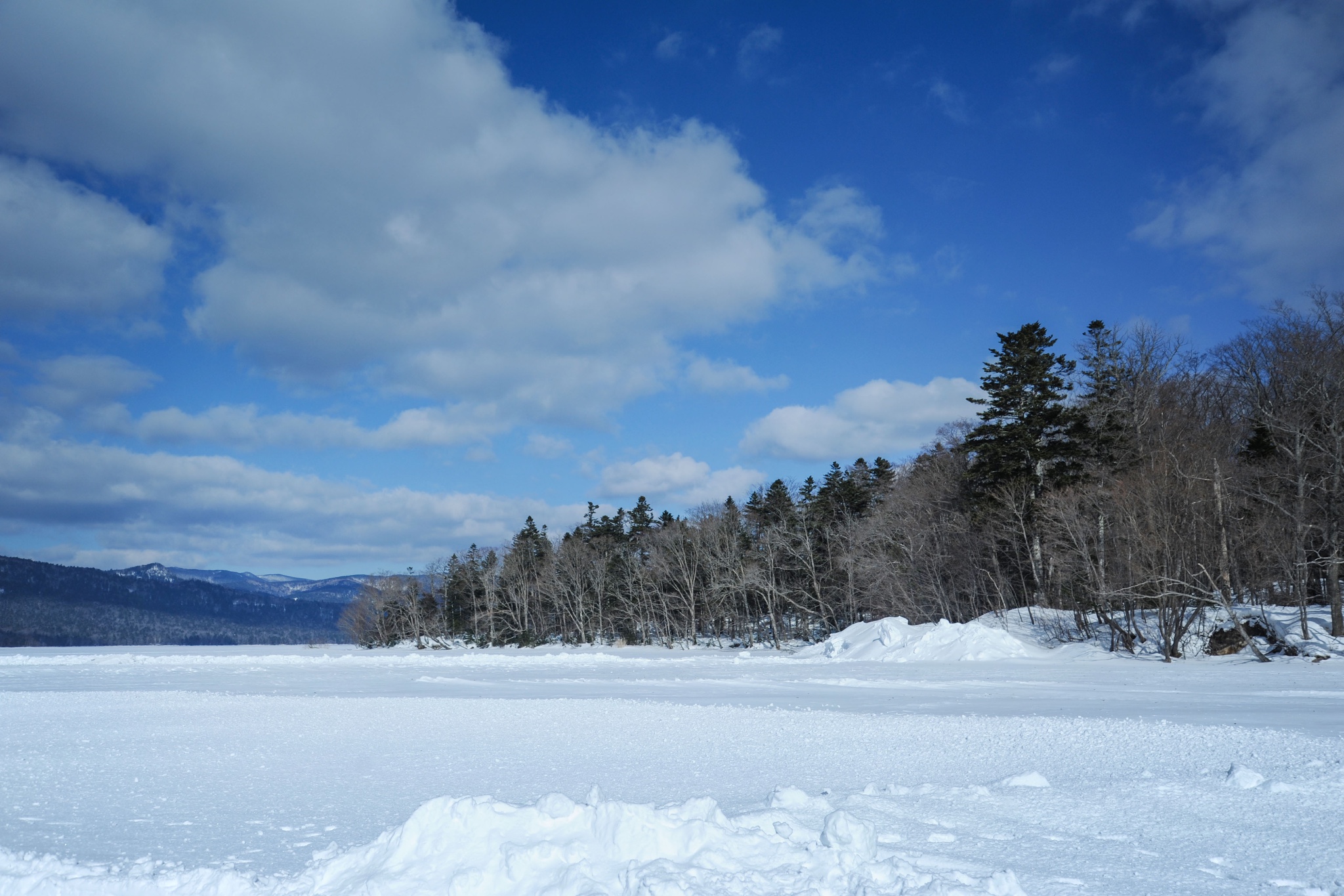 北海道自助遊攻略