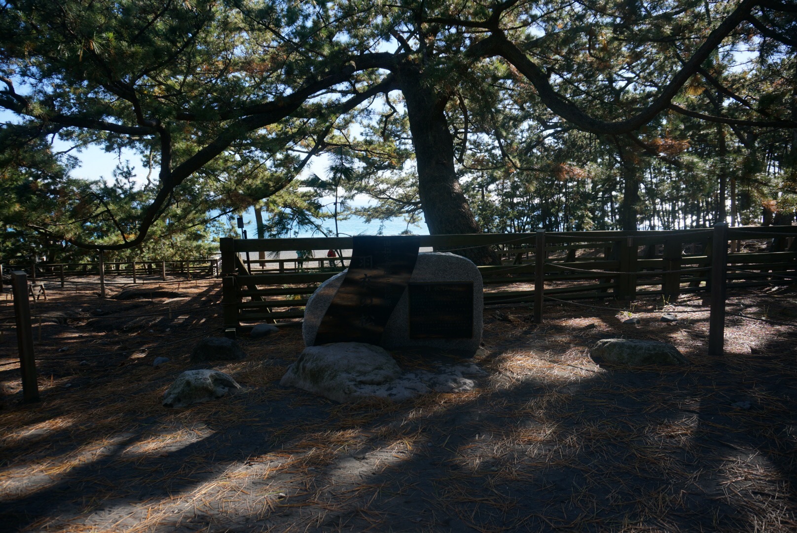 富士山自助遊攻略