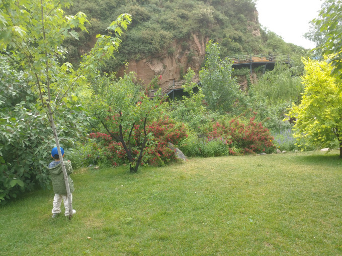 风云起 四季变--漫山花溪谷 一场因天气而纠结