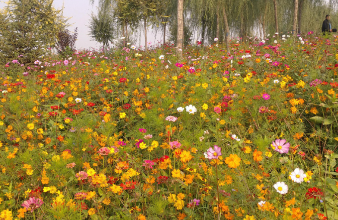 风云起 四季变--漫山花溪谷 一场因天气而纠结