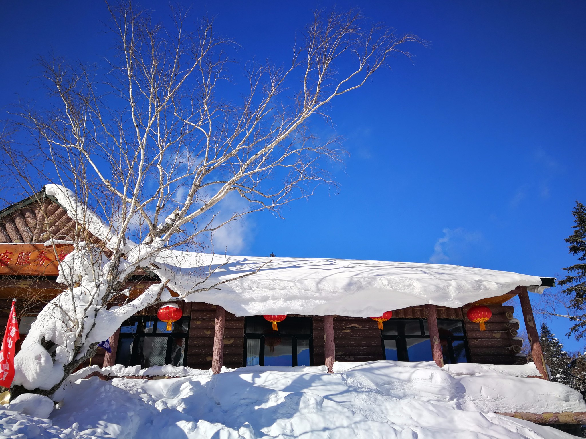 雪鄉自助遊攻略