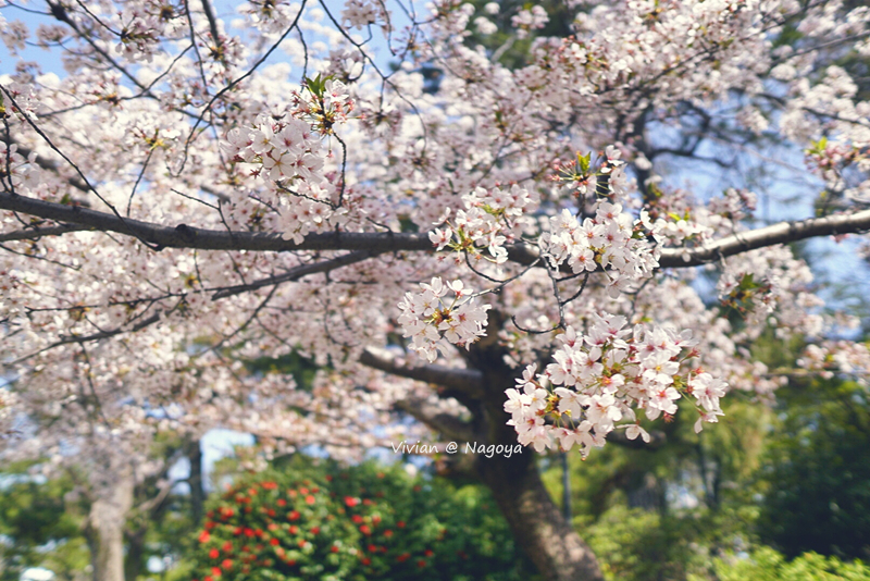 名古屋自助遊攻略